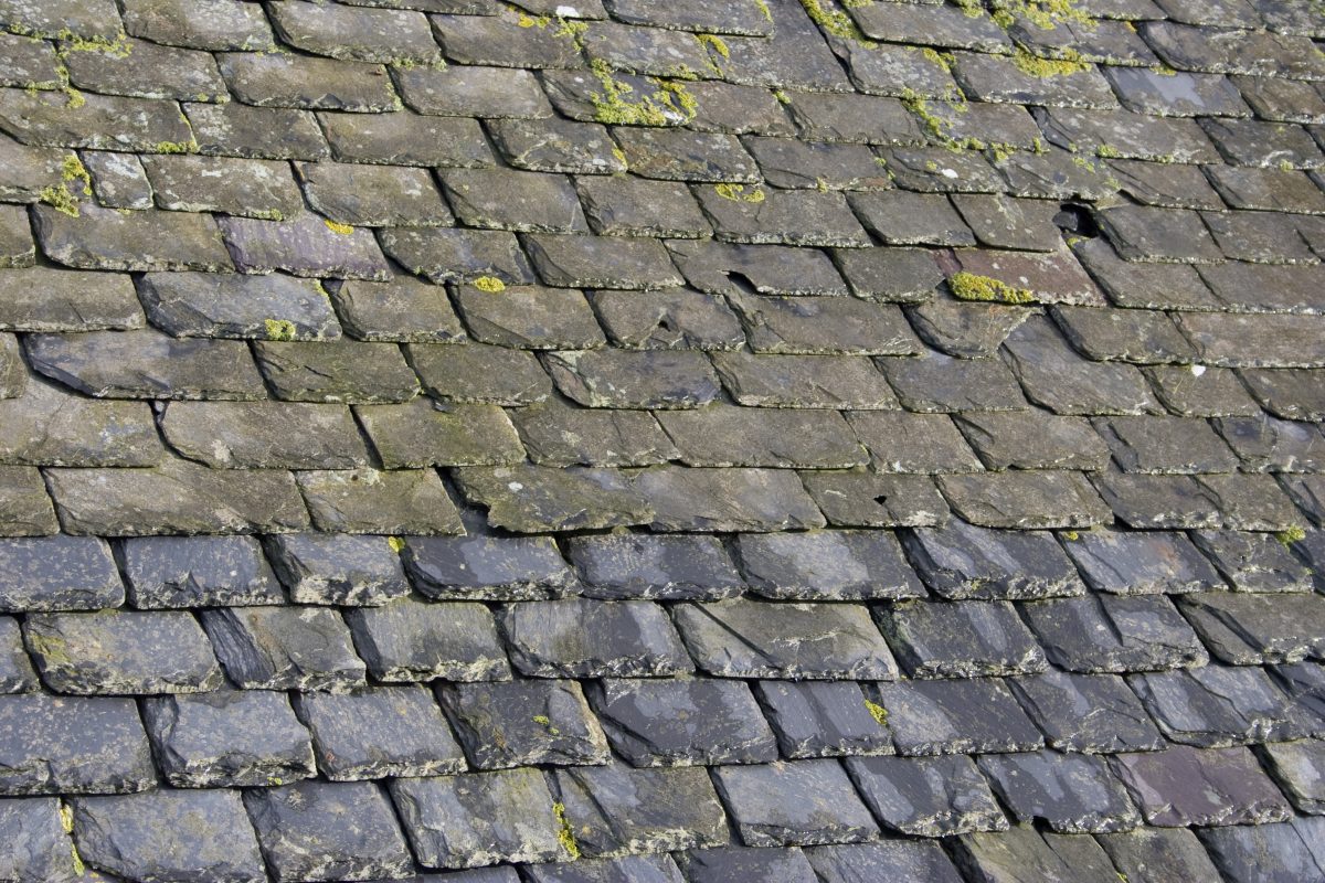 old slate roof with slipping tiles and moss