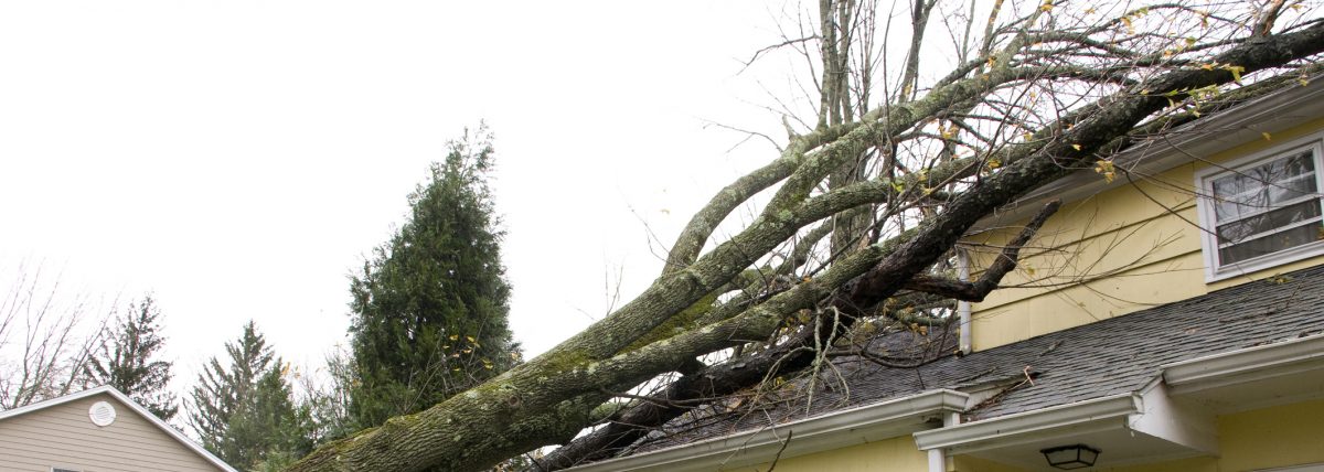roof storm damage